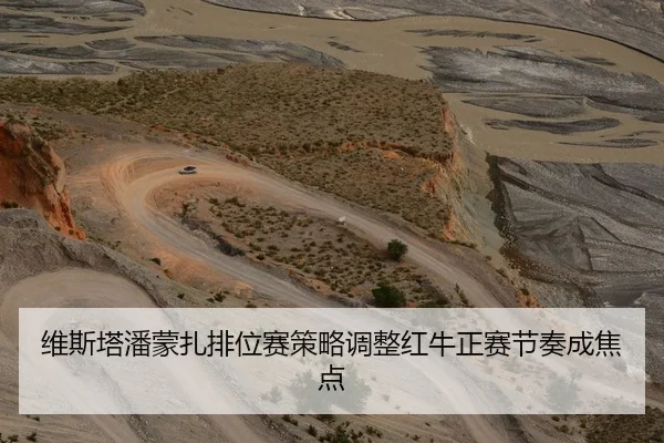 维斯塔潘蒙扎排位赛策略调整红牛正赛节奏成焦点