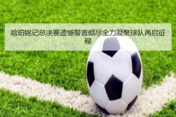 哈珀铭记总决赛遗憾誓言倾尽全力凝聚球队再启征程